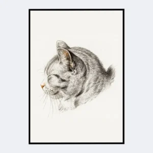 Vintage Cat Kitten Portrait Wall Art | Digital DOWNLOAD